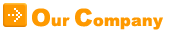Our Company